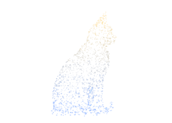Cat — yoni animal of Punarvasu