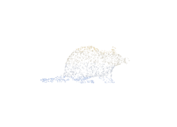 Rat — yoni animal of Magha