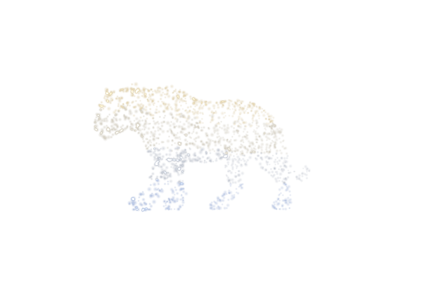 Tiger — yoni animal of Chitra